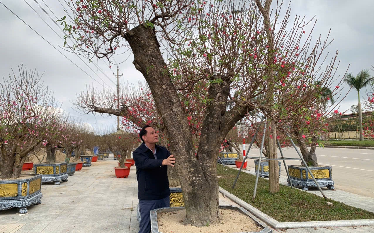 Chơi hoa theo trend, thú vui mới của nhiều chị em đón Tết- Ảnh 6.