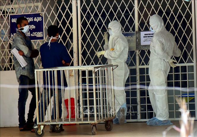 Đánh giá mới nhất của WHO về rủi ro lây lan virus Nipah từ Ấn Độ- Ảnh 1.