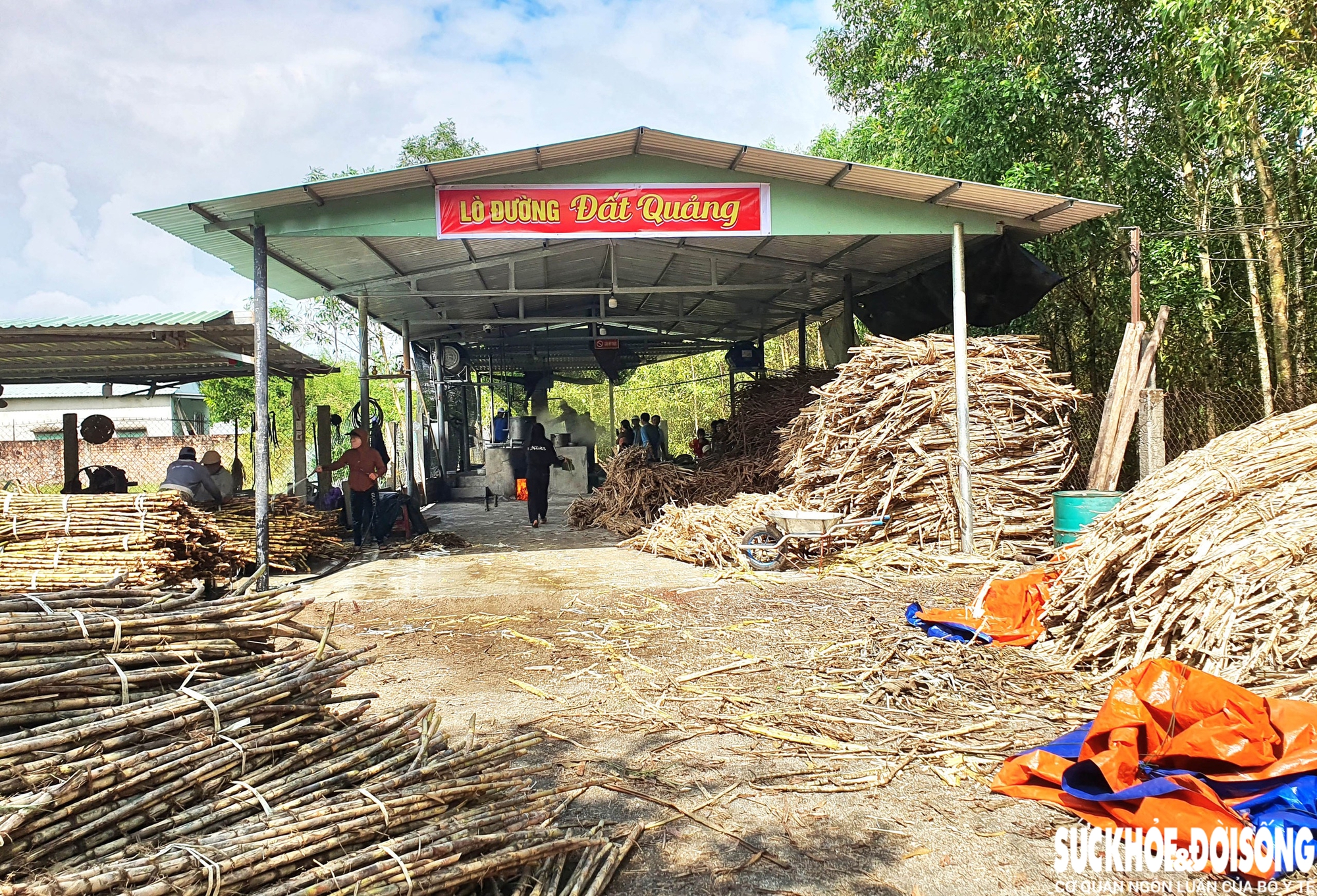 Về đất Quảng xem nấu đường thủ công, nhớ vị Tết xưa- Ảnh 8.