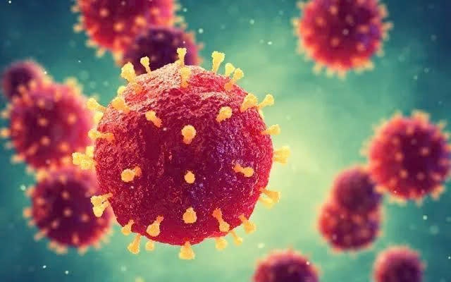 TPHCM tập huấn hướng dẫn chẩn đoán, điều trị và phòng chống bệnh do virus Nipah- Ảnh 4.