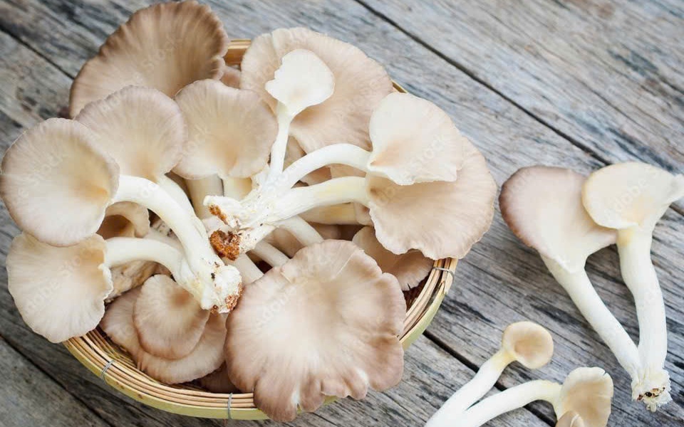 Top 10 thực phẩm đáp ứng đủ canxi mà không cần uống thuốc bổ sung- Ảnh 4.