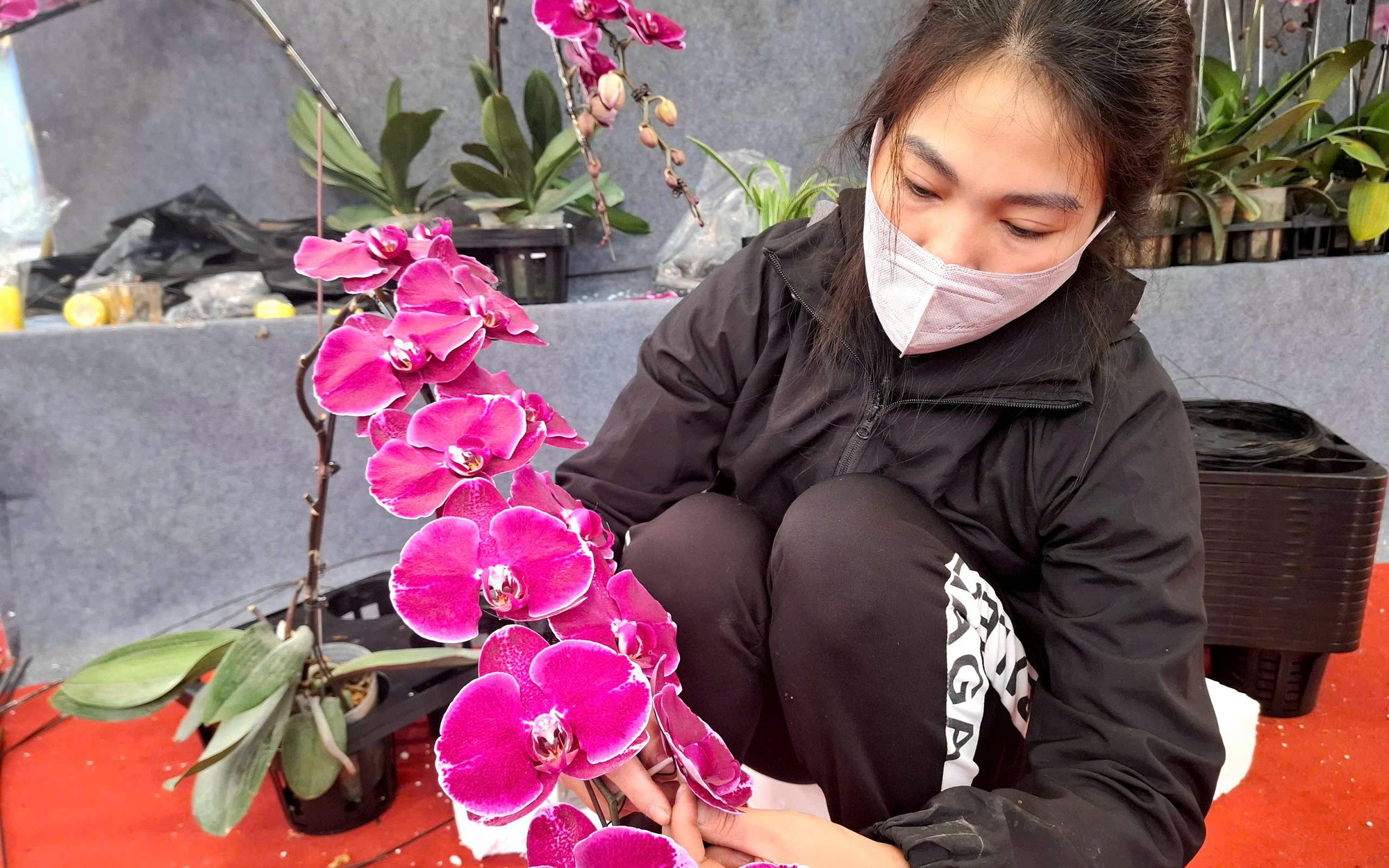 Lao động thời vụ dịp Tết: Hợp đồng miệng, rủi ro thật- Ảnh 3.