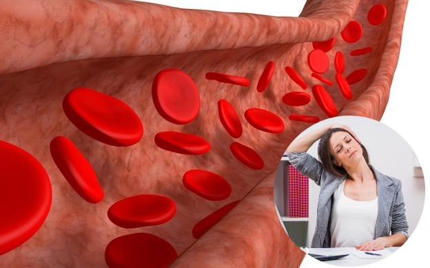 5 thói quen hàng ngày bảo vệ động mạch khỏi xơ vữa