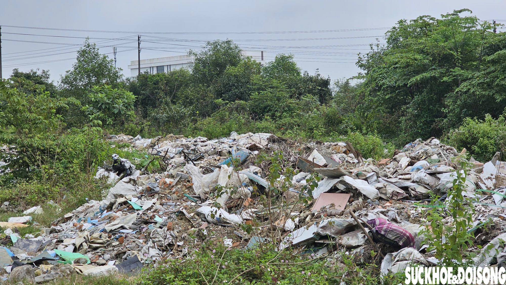 Bao giờ chấm dứt cảnh rác thải bủa vây khu quy hoạch ở Huế?- Ảnh 4.