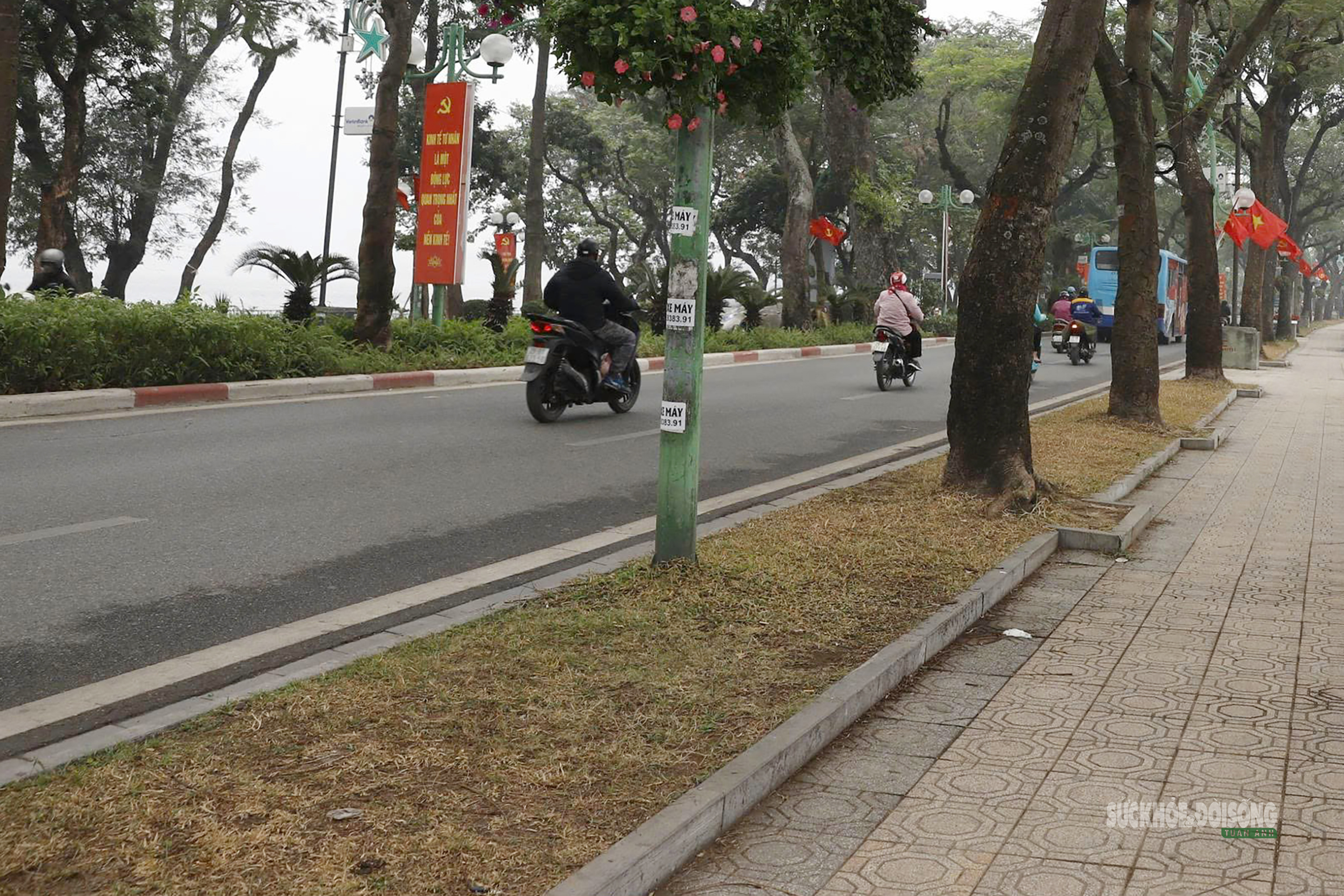 Phố 'vàng' Hà Nội trước đề xuất quy hoạch cảnh quan- Ảnh 12.