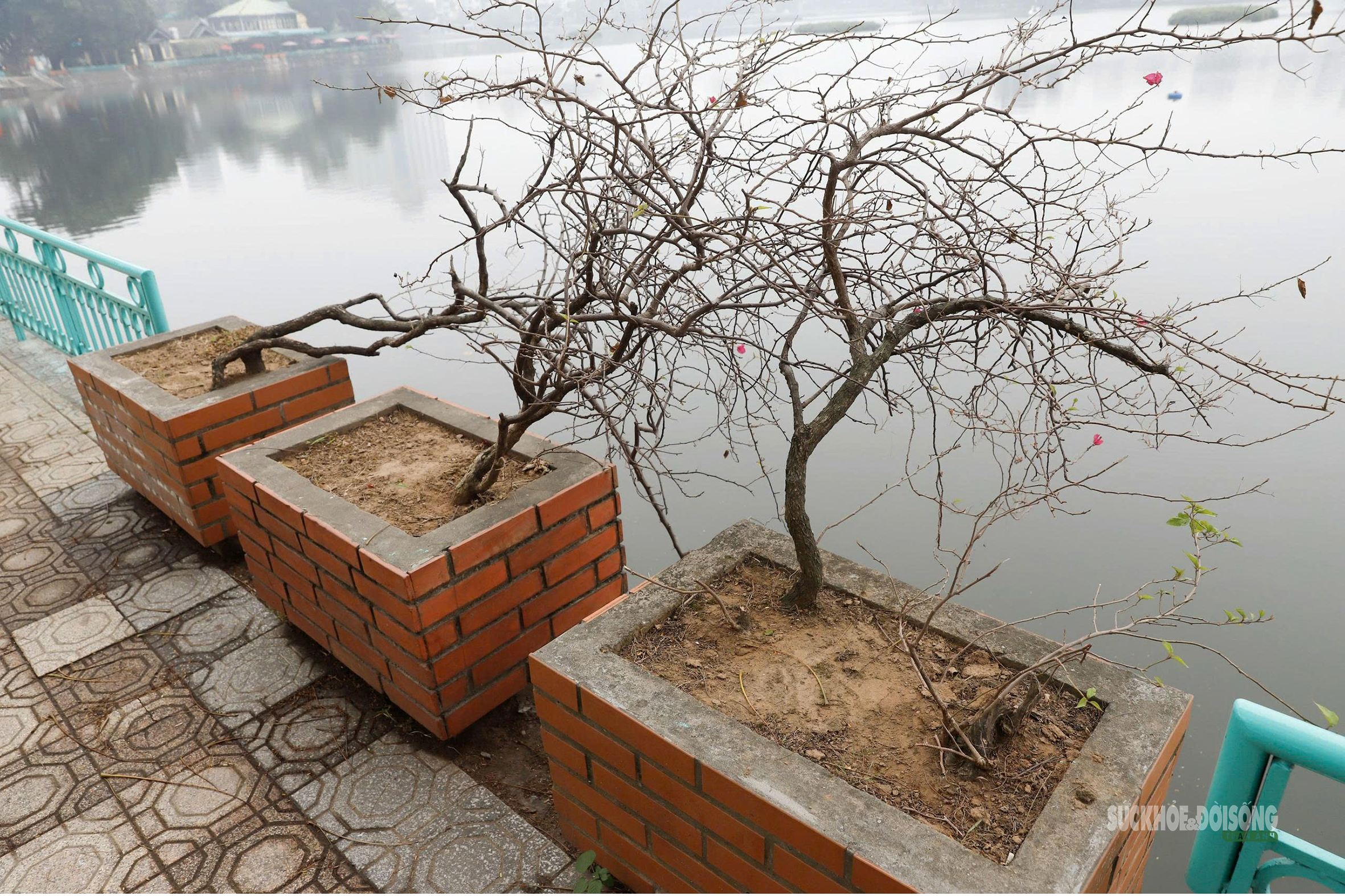 Phố 'vàng' Hà Nội trước đề xuất quy hoạch cảnh quan- Ảnh 13.