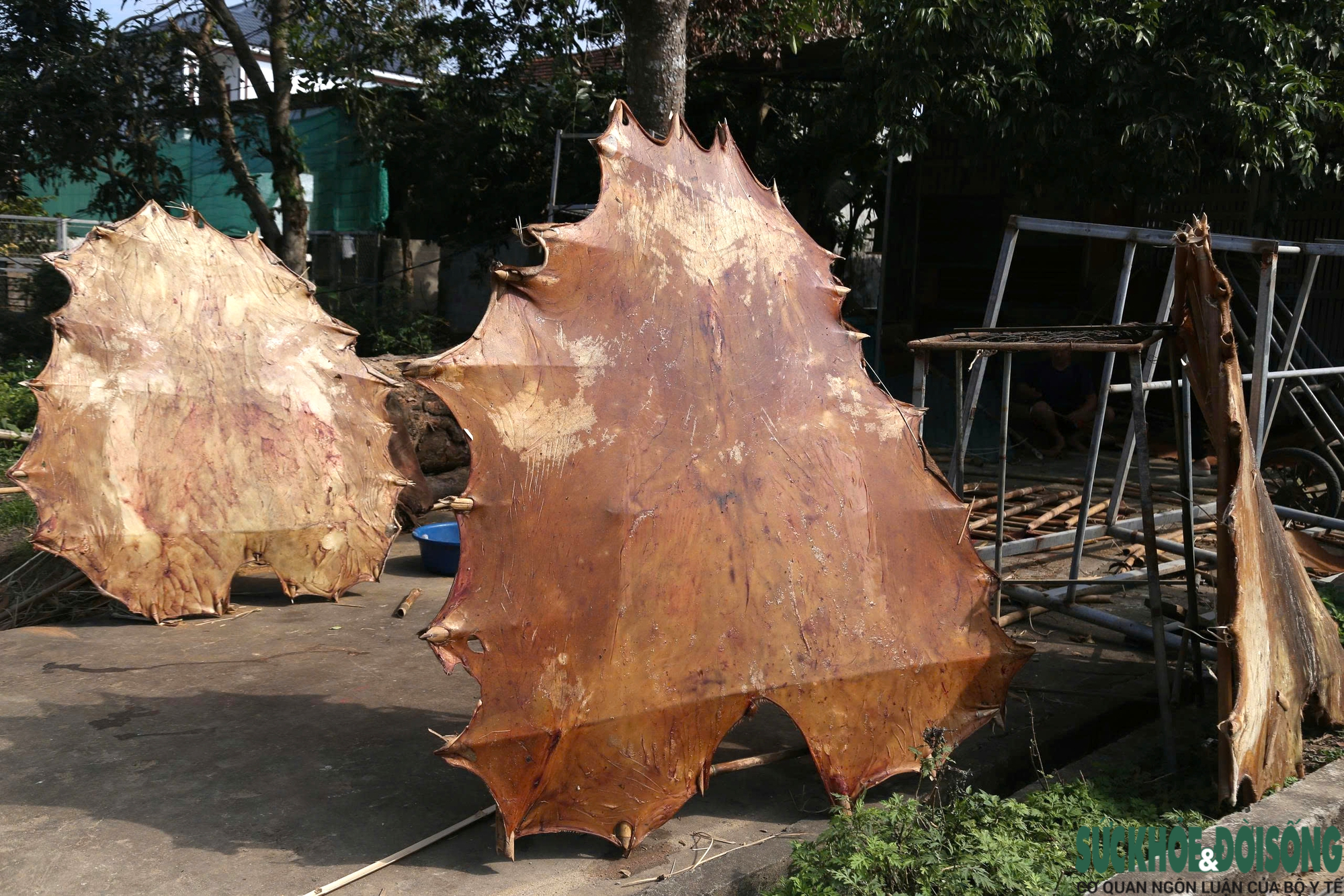 Làng nghề làm trống Đại Đồng hối hả vào mùa- Ảnh 5.