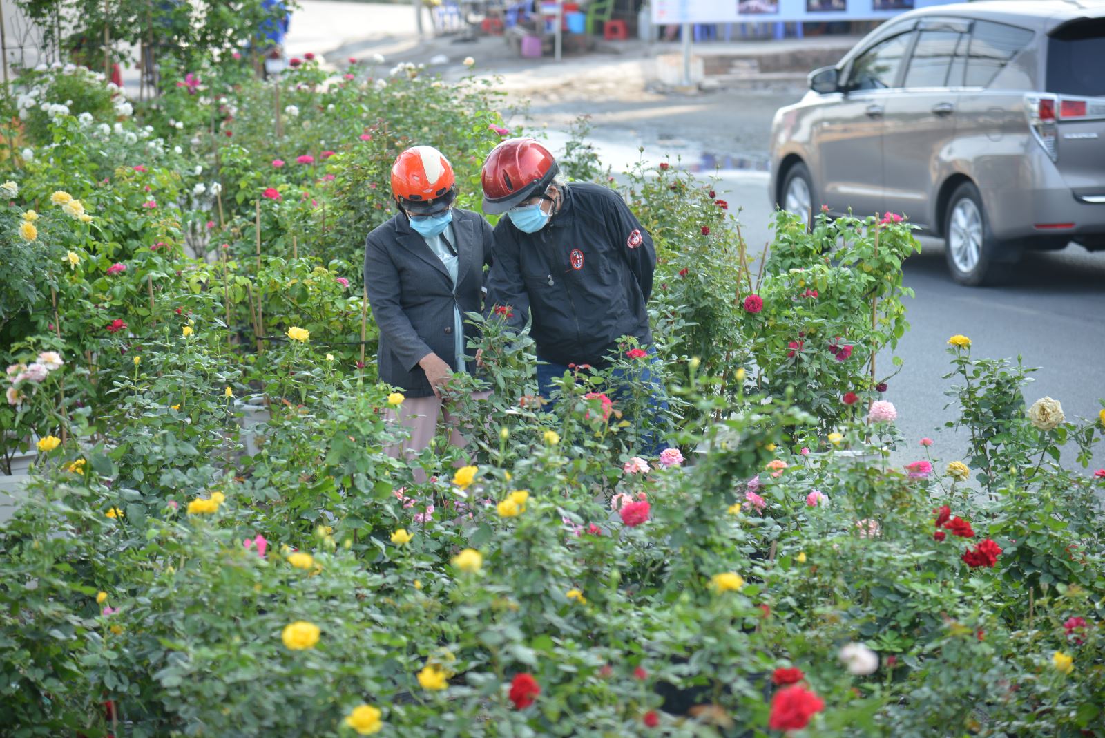 TP Hồ Chí Minh: Tái hiện không gian Tết sông nước với chợ hoa xuân 'Trên bến dưới thuyền'- Ảnh 3. TP Hồ Chí Minh: Tái hiện không gian Tết sông nước với chợ hoa xuân 'Trên bến dưới thuyền'- Ảnh 3.