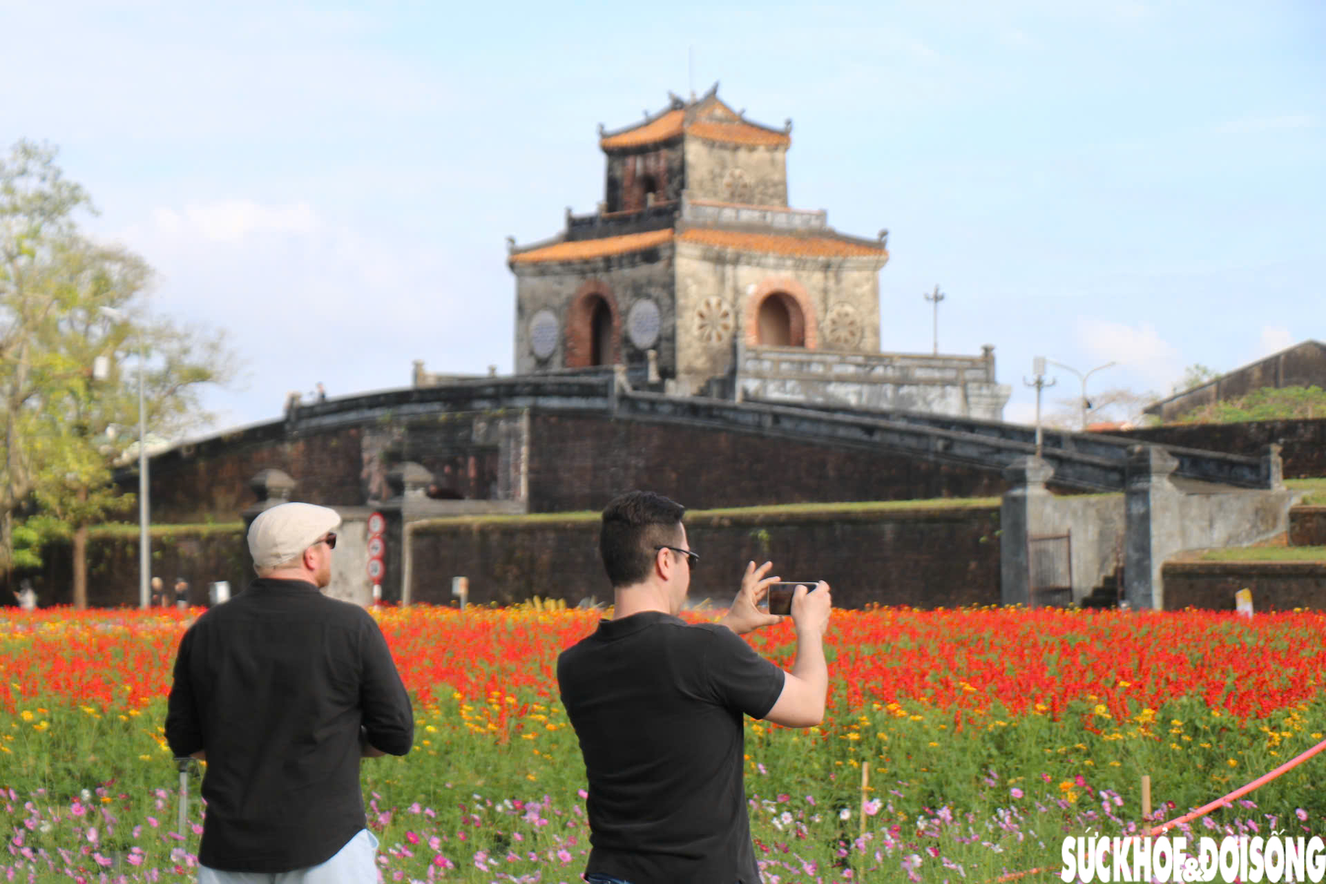 Choáng ngợp hình ảnh hàng vạn chậu hoa kết thành đóa sen khổng lồ ở Huế- Ảnh 10. Choáng ngợp hình ảnh hàng vạn chậu hoa kết thành đóa sen khổng lồ ở Huế- Ảnh 10.