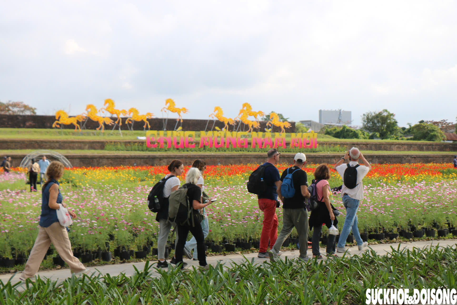 Choáng ngợp hình ảnh hàng vạn chậu hoa kết thành đóa sen khổng lồ ở Huế- Ảnh 11. Choáng ngợp hình ảnh hàng vạn chậu hoa kết thành đóa sen khổng lồ ở Huế- Ảnh 11.