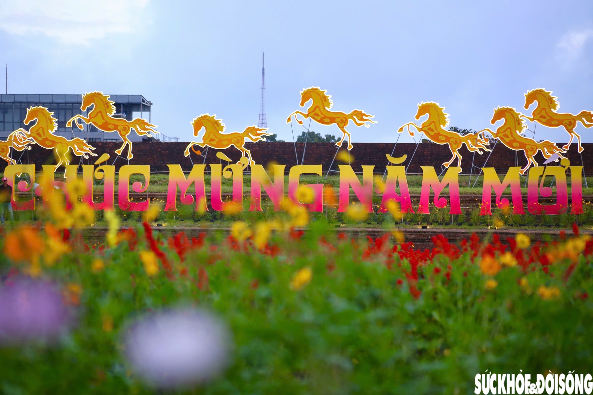 Choáng ngợp hình ảnh hàng vạn chậu hoa kết thành đóa sen khổng lồ ở Huế- Ảnh 12. Choáng ngợp hình ảnh hàng vạn chậu hoa kết thành đóa sen khổng lồ ở Huế- Ảnh 12.