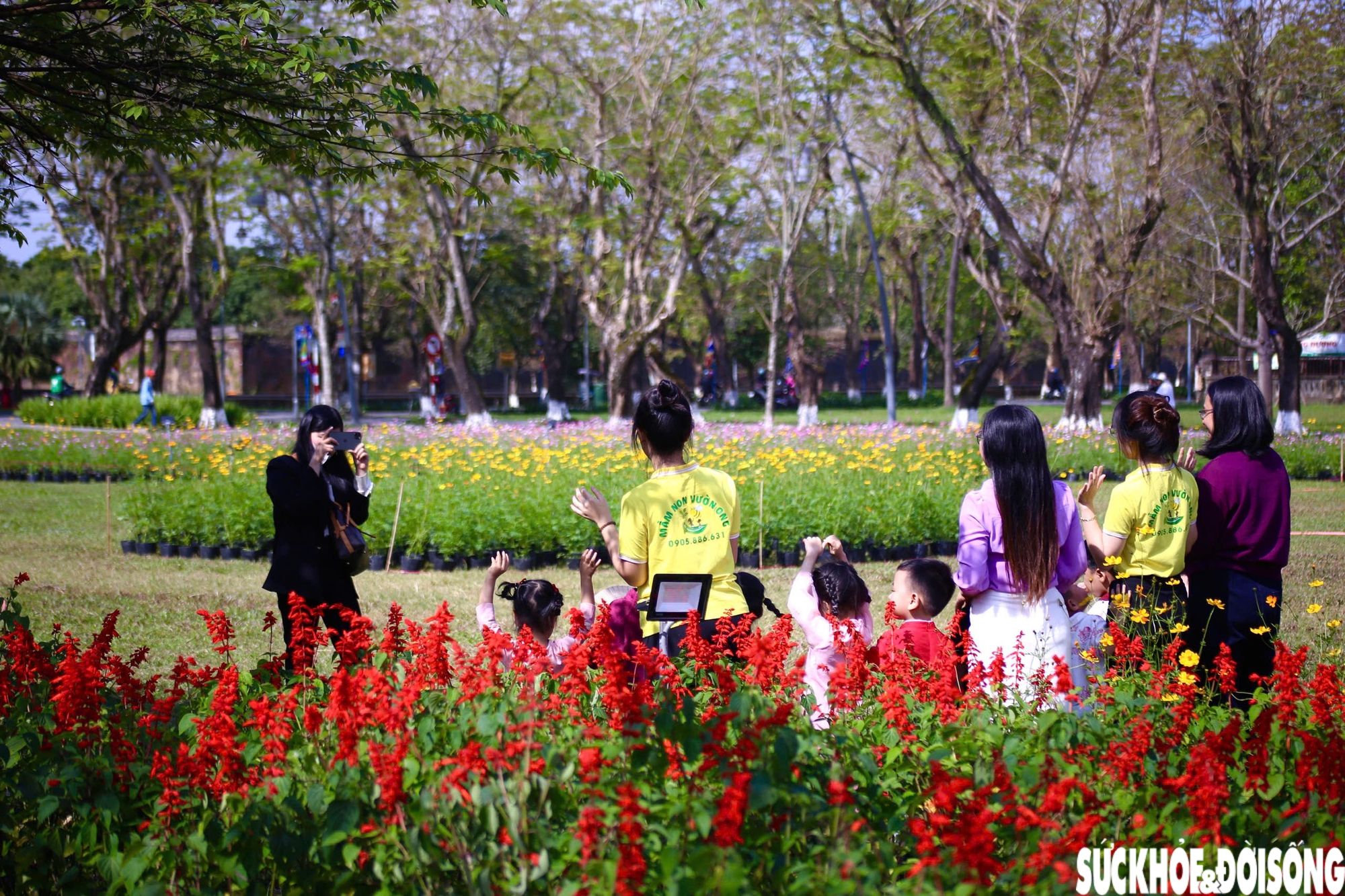 Choáng ngợp hình ảnh hàng vạn chậu hoa kết thành đóa sen khổng lồ ở Huế- Ảnh 7. Choáng ngợp hình ảnh hàng vạn chậu hoa kết thành đóa sen khổng lồ ở Huế- Ảnh 7.