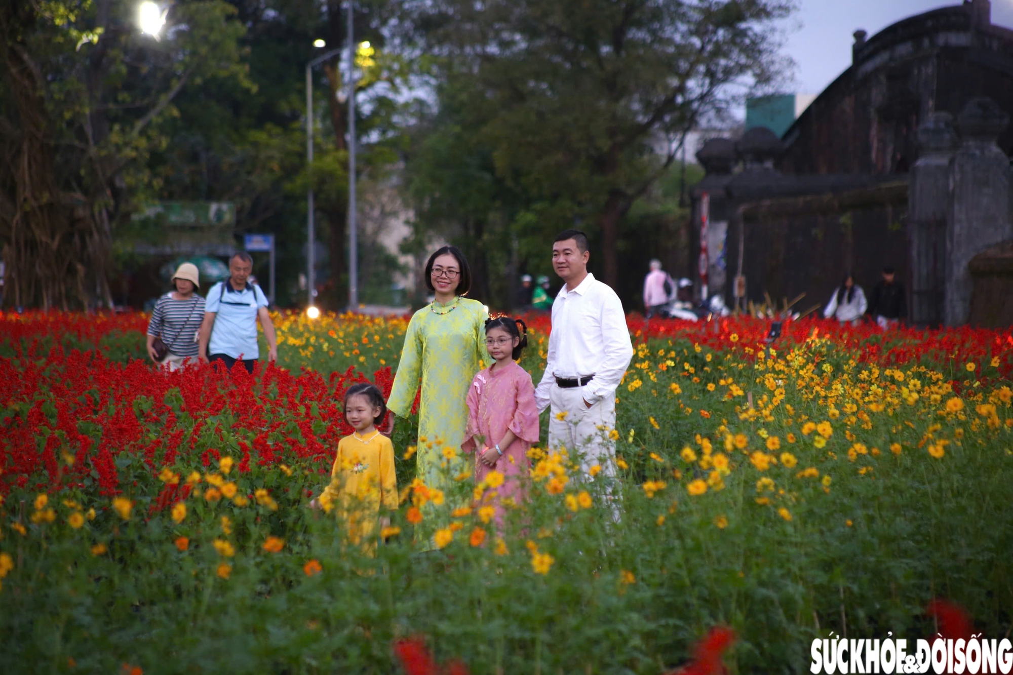 Choáng ngợp hình ảnh hàng vạn chậu hoa kết thành đóa sen khổng lồ ở Huế- Ảnh 9. Choáng ngợp hình ảnh hàng vạn chậu hoa kết thành đóa sen khổng lồ ở Huế- Ảnh 9.