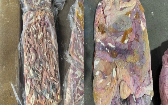 Phát hiện hàng tấn xương lợn trôi nổi, không nguồn gốc đang trên đường đi tiêu thụ- Ảnh 2. Phát hiện hàng tấn xương lợn trôi nổi, không nguồn gốc đang trên đường đi tiêu thụ- Ảnh 2.