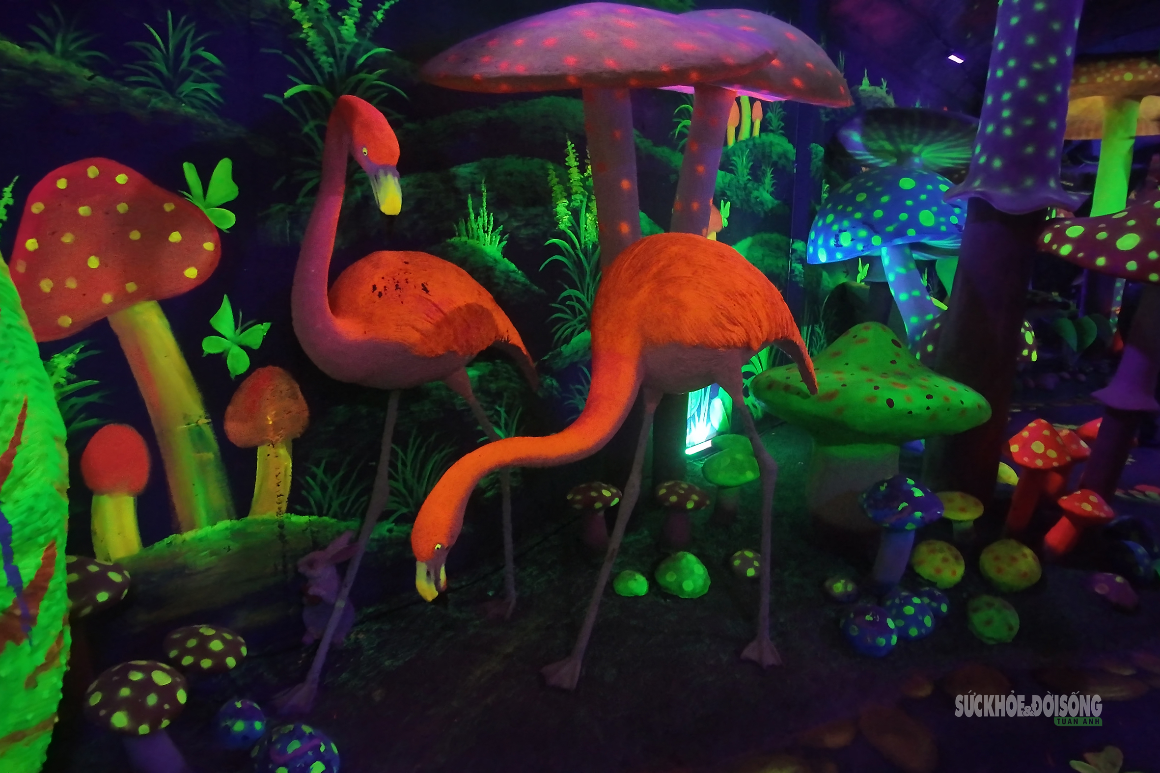 Cận cảnh một Safari huyền bí trên đỉnh Ô Quy Hồ- Ảnh 11. Cận cảnh một Safari huyền bí trên đỉnh Ô Quy Hồ- Ảnh 11.