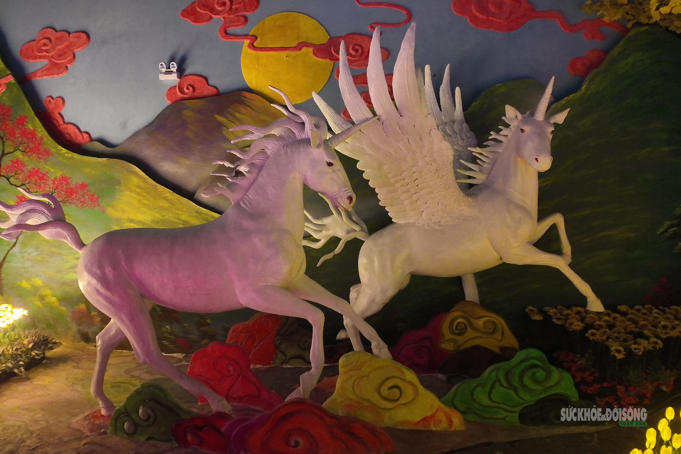 Cận cảnh một Safari huyền bí trên đỉnh Ô Quy Hồ- Ảnh 4. Cận cảnh một Safari huyền bí trên đỉnh Ô Quy Hồ- Ảnh 4.