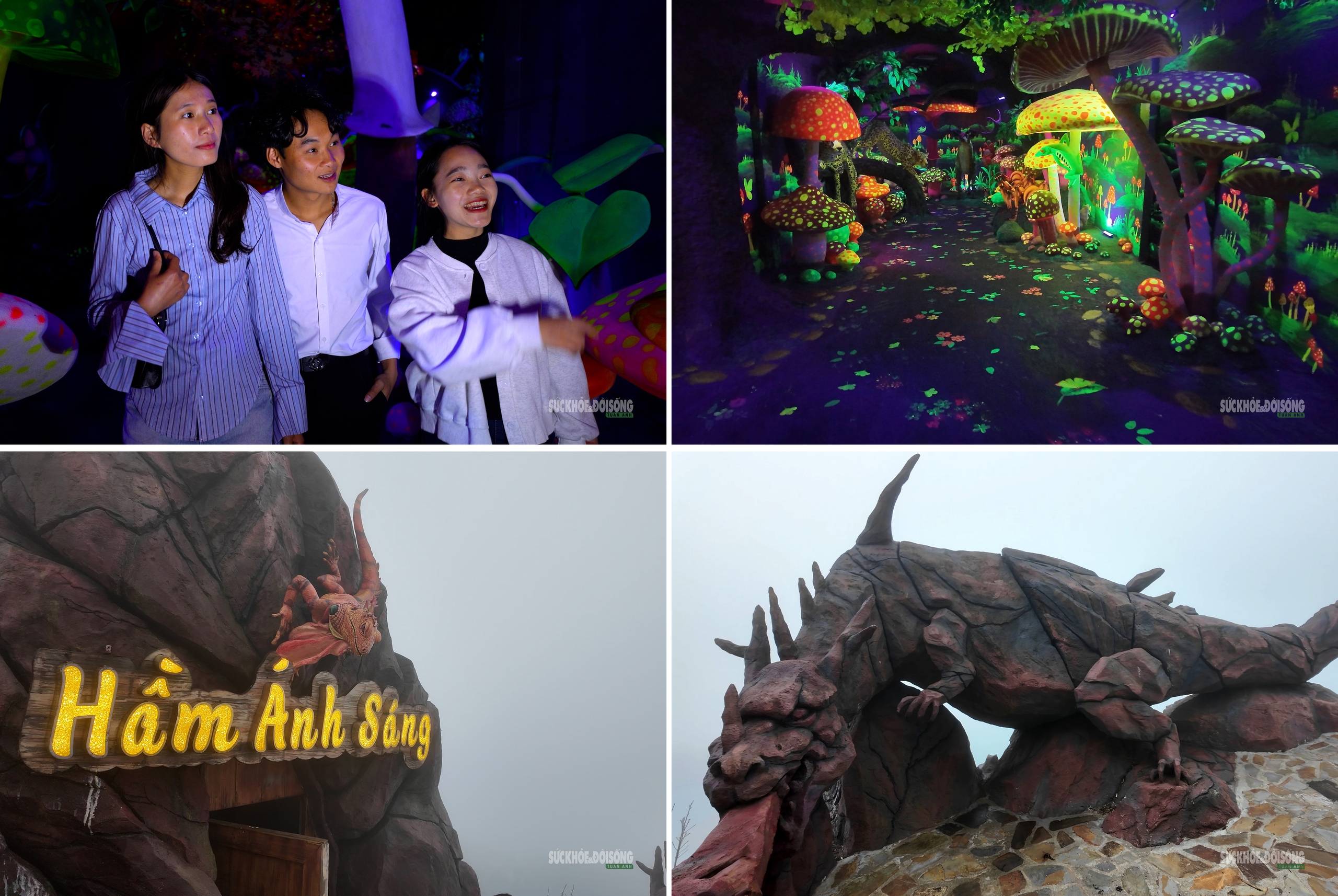 Cận cảnh một Safari huyền bí trên đỉnh Ô Quy Hồ- Ảnh 1. Cận cảnh một Safari huyền bí trên đỉnh Ô Quy Hồ- Ảnh 1.