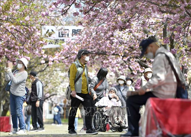 Bất ngờ gen di truyền là yếu tố chính quyết định tuổi thọ con người- Ảnh 1. Bất ngờ gen di truyền là yếu tố chính quyết định tuổi thọ con người- Ảnh 1.