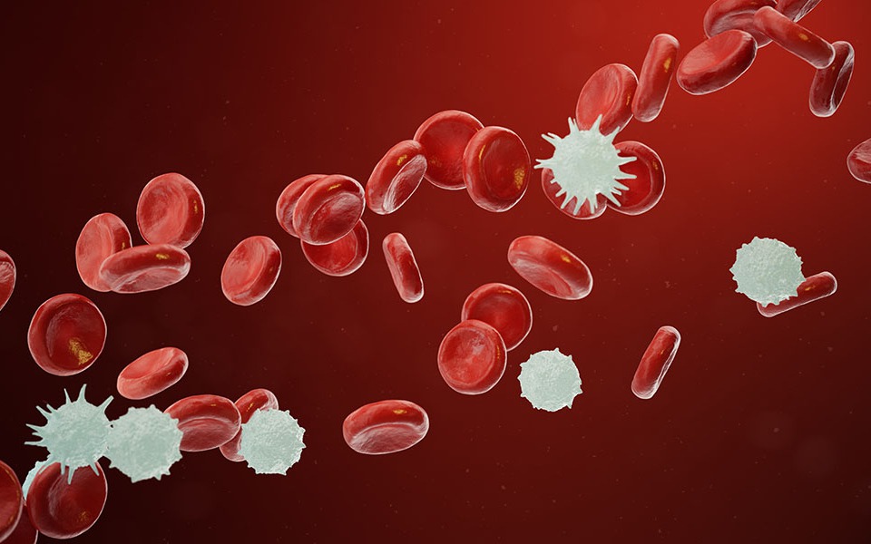 Phát hiện manh mối mới giúp ngăn ung thư tái phát