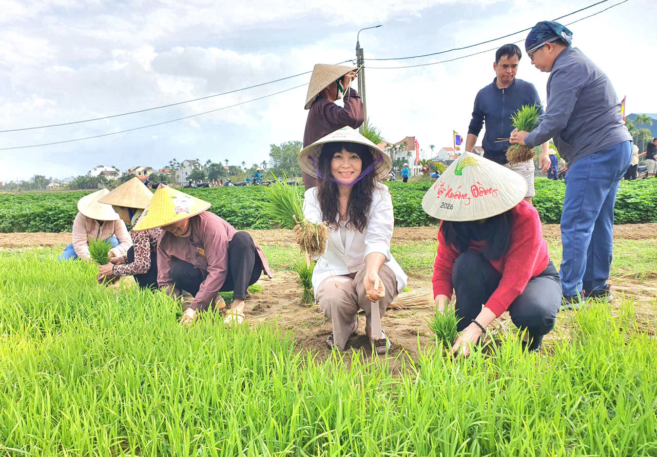 Du khách quốc tế thích thú trải nghiệm nhổ mạ, cấy lúa ở Hội An- Ảnh 10. Du khách quốc tế thích thú trải nghiệm nhổ mạ, cấy lúa ở Hội An- Ảnh 10.