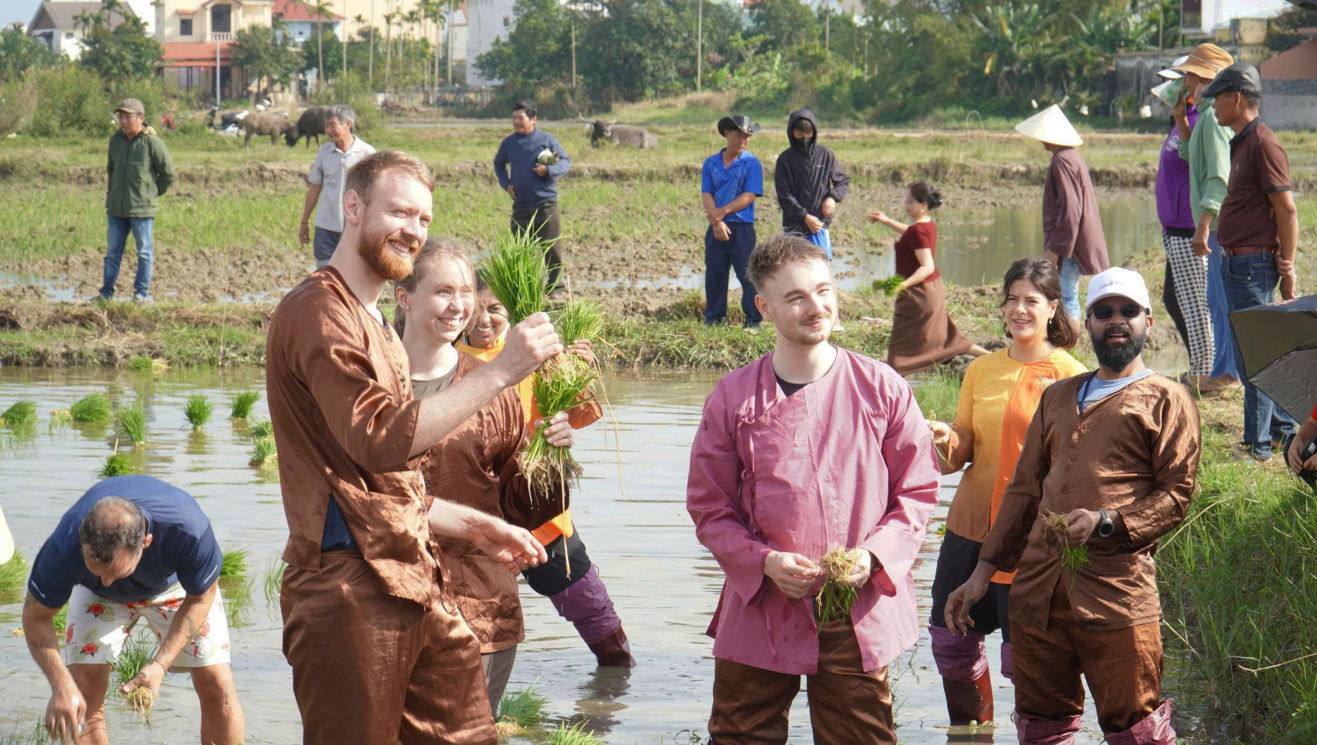 Du khách quốc tế thích thú trải nghiệm nhổ mạ, cấy lúa ở Hội An- Ảnh 12. Du khách quốc tế thích thú trải nghiệm nhổ mạ, cấy lúa ở Hội An- Ảnh 12.