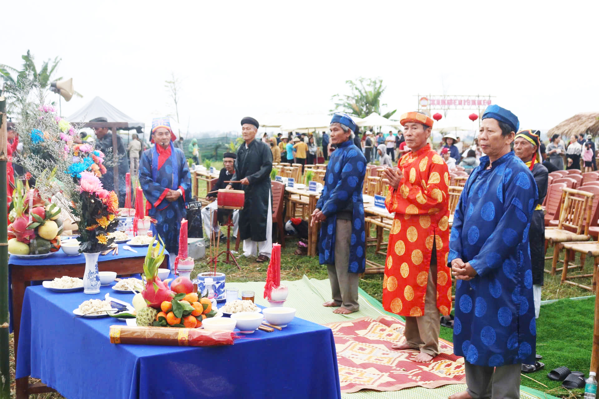 Du khách quốc tế thích thú trải nghiệm nhổ mạ, cấy lúa ở Hội An- Ảnh 5. Du khách quốc tế thích thú trải nghiệm nhổ mạ, cấy lúa ở Hội An- Ảnh 5.