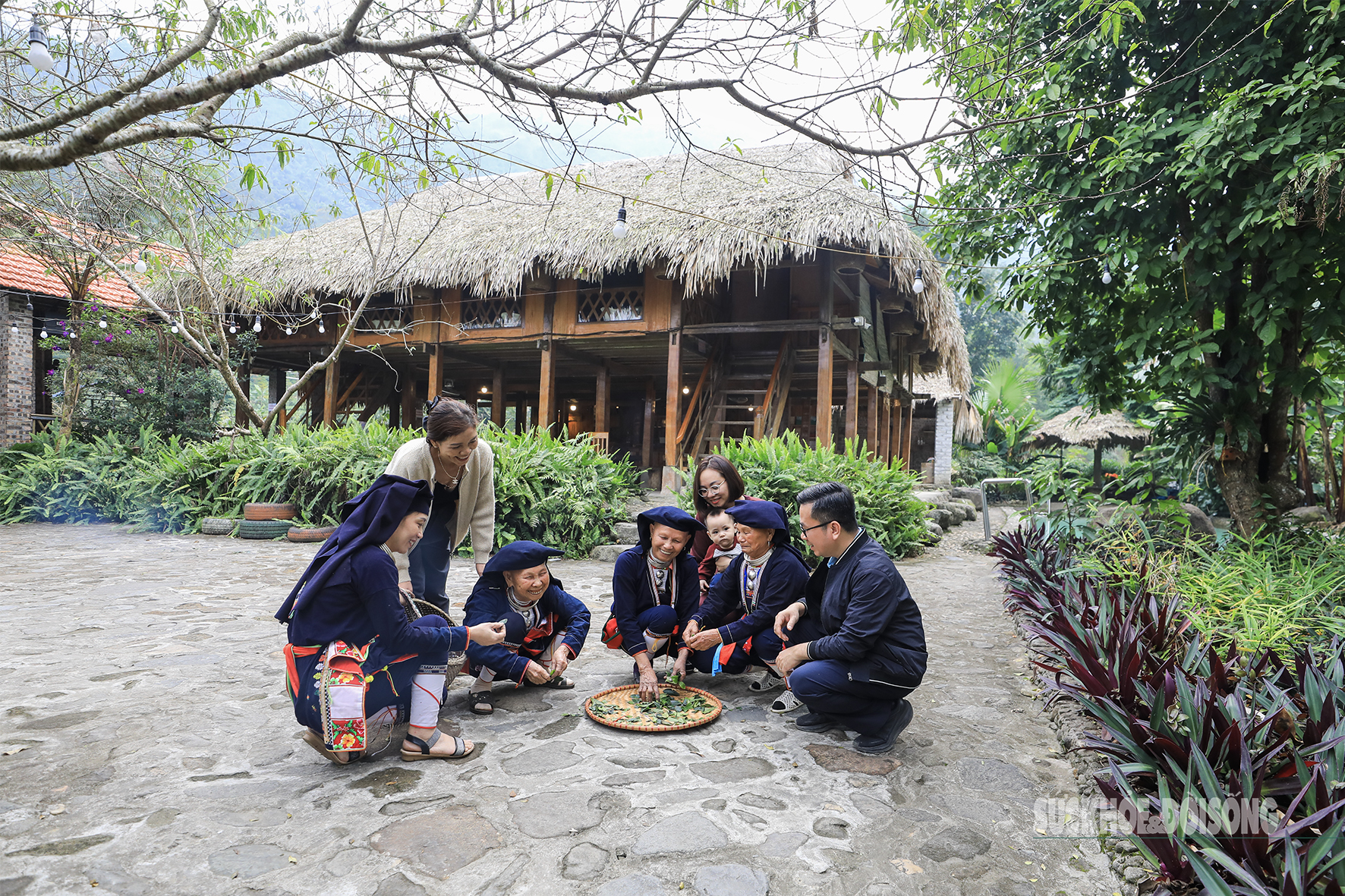 Lạc giữa 'biển chè bát úp' dưới chân Tam Đảo- Ảnh 4. Lạc giữa 'biển chè bát úp' dưới chân Tam Đảo- Ảnh 4.