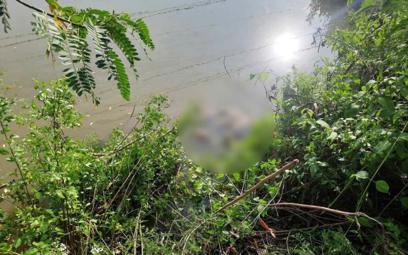 Thông tin đau lòng vụ nữ sinh bị sát hại ở Cà Mau, kẻ ác làm điều phẫn nộ trước khi ra tay