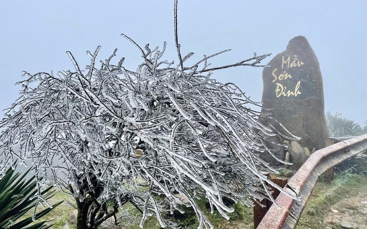 Xóm chạy thận Hà Nội co ro trong giá rét- Ảnh 10.