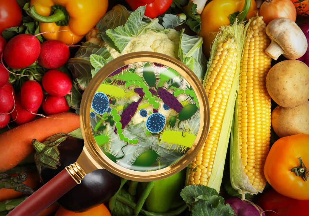 Thực phẩm bẩn có thể gây ra những bệnh ung thư nào?- Ảnh 1.