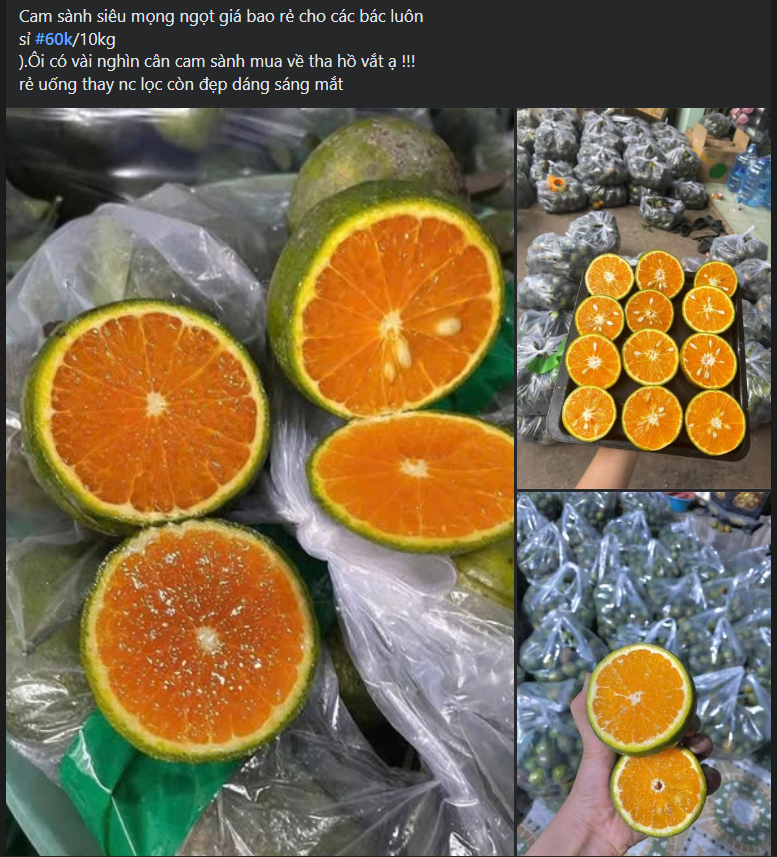 Một loại cam Việt giúp tăng đề kháng đang bán đầy chợ giá chỉ vài nghìn đồng/kg- Ảnh 3. Một loại cam Việt giúp tăng đề kháng đang bán đầy chợ giá chỉ vài nghìn đồng/kg- Ảnh 3.