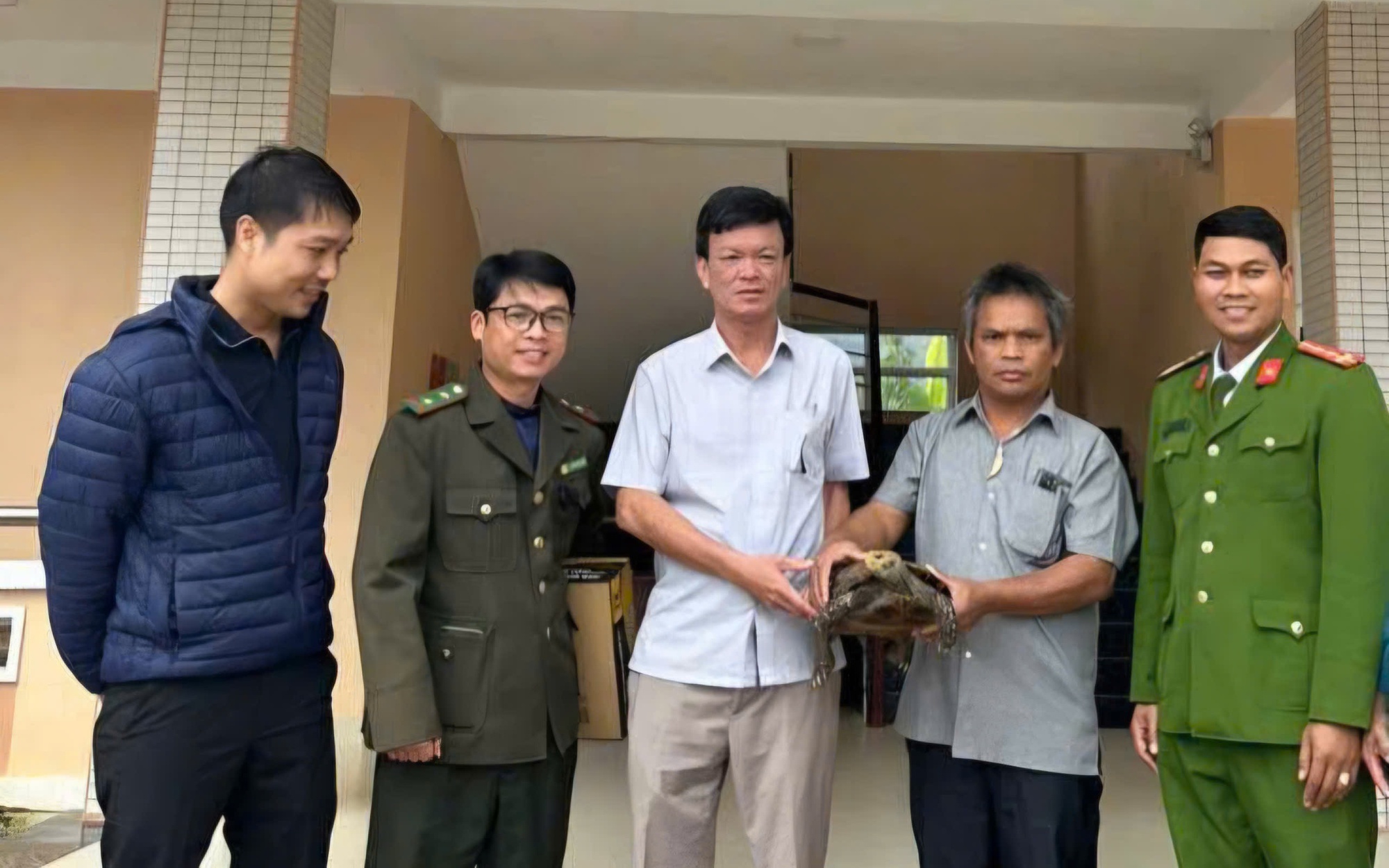 Đi làm rẫy, người đàn ông ở Huế phát hiện rùa núi viền quý hiếm