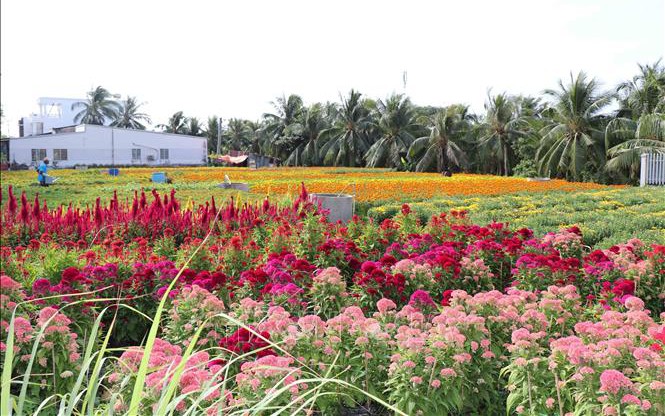 TPHCM mưa trái mùa cận Tết, người dân bất ngờ 
- Ảnh 7.