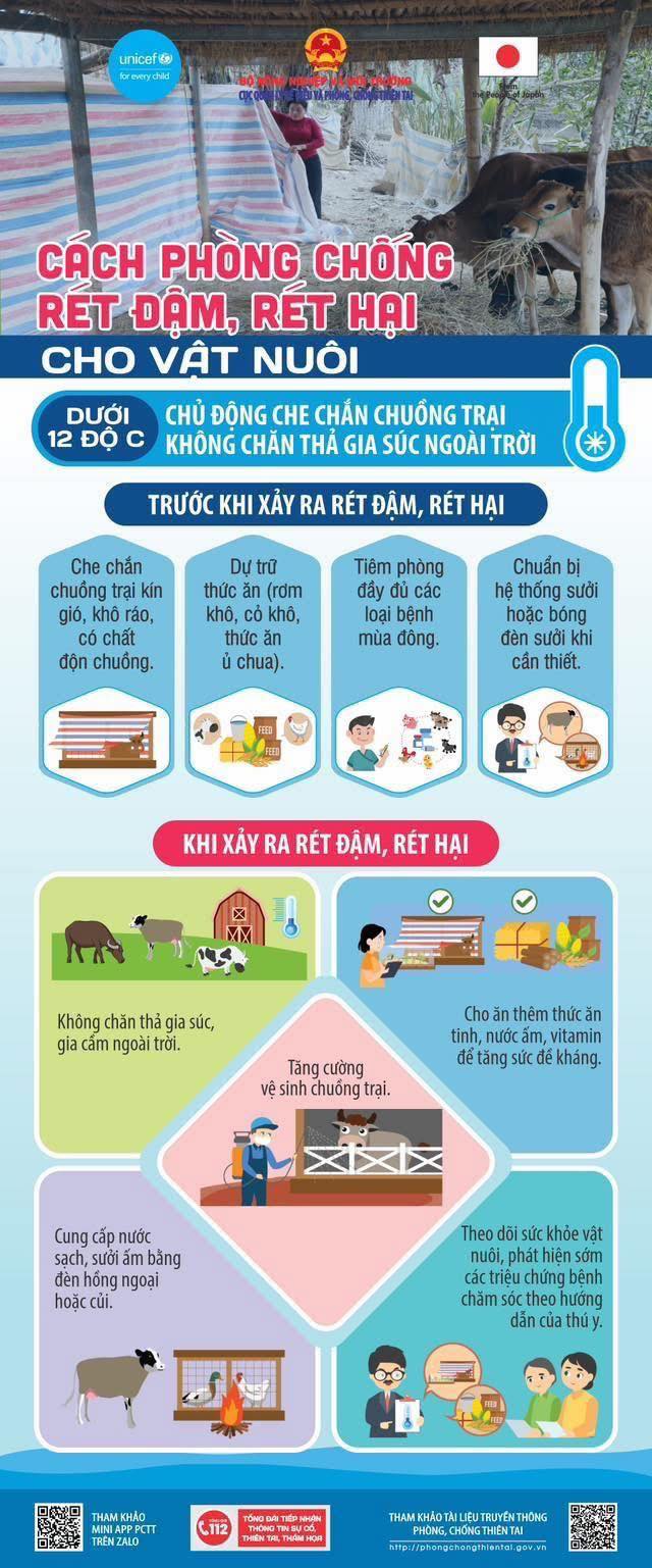Các kỹ năng phòng chống rét đậm, rét hại cho người và vật nuôi - Ảnh 4. Các kỹ năng phòng chống rét đậm, rét hại cho người và vật nuôi - Ảnh 4.