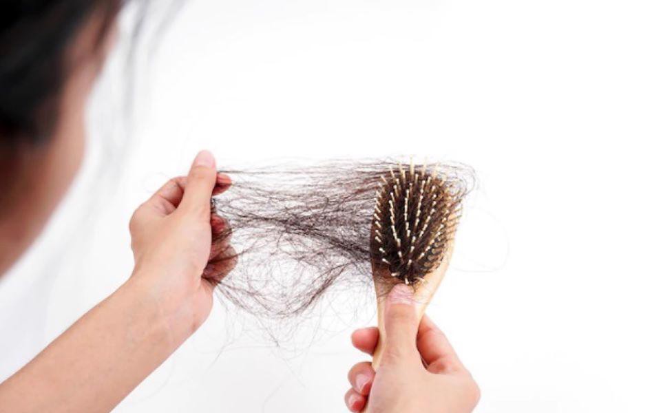 photo 1767756423942 17677564247101757303326 0 0 600 960 crop 1767756527687593887396