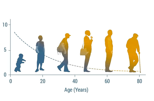 NMN: nền tảng sức khỏe theo góc nhìn khoa học- Ảnh 1.