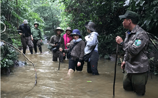 Hàng ngàn cá thể động vật rừng nguy cấp, quý hiếm được gây nuôi tại Quảng Trị- Ảnh 2. Nhân nuôi loài gà quý hiếm có nguy cơ tuyệt chủng trong tự nhiên