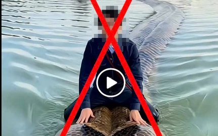 Cái kết của người đàn ông dùng AI tạo ảnh cưỡi trăn khổng lồ bơi trên hồ Hoàn Kiếm