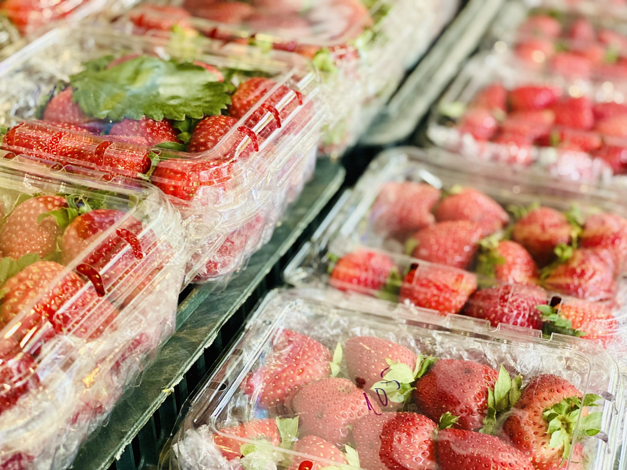 Dâu tây Trung Quốc bán tràn ngập thị trường, người tiêu dùng cần lưu ý điều này để không bị 'qua mặt'- Ảnh 2.