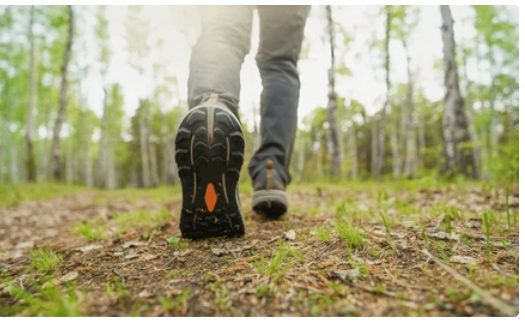 Số bước đi bộ mỗi ngày theo độ tuổi và giới tính, bao nhiêu là đủ?- Ảnh 1. Số bước đi bộ mỗi ngày theo độ tuổi và giới tính, bao nhiêu là đủ?- Ảnh 1.