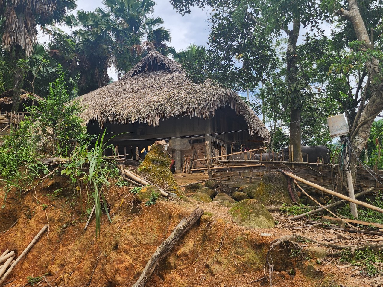 Lan tỏa những hoạt động thiện nguyện hướng về người nghèo dịp Tết- Ảnh 1. Lan tỏa những hoạt động thiện nguyện hướng về người nghèo dịp Tết- Ảnh 1.