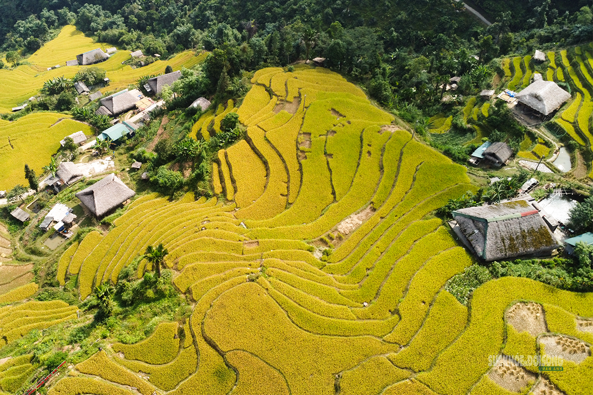 Mùa vàng Xà Phìn hút khách giữa núi rừng Tây Côn Lĩnh - Ảnh 2.