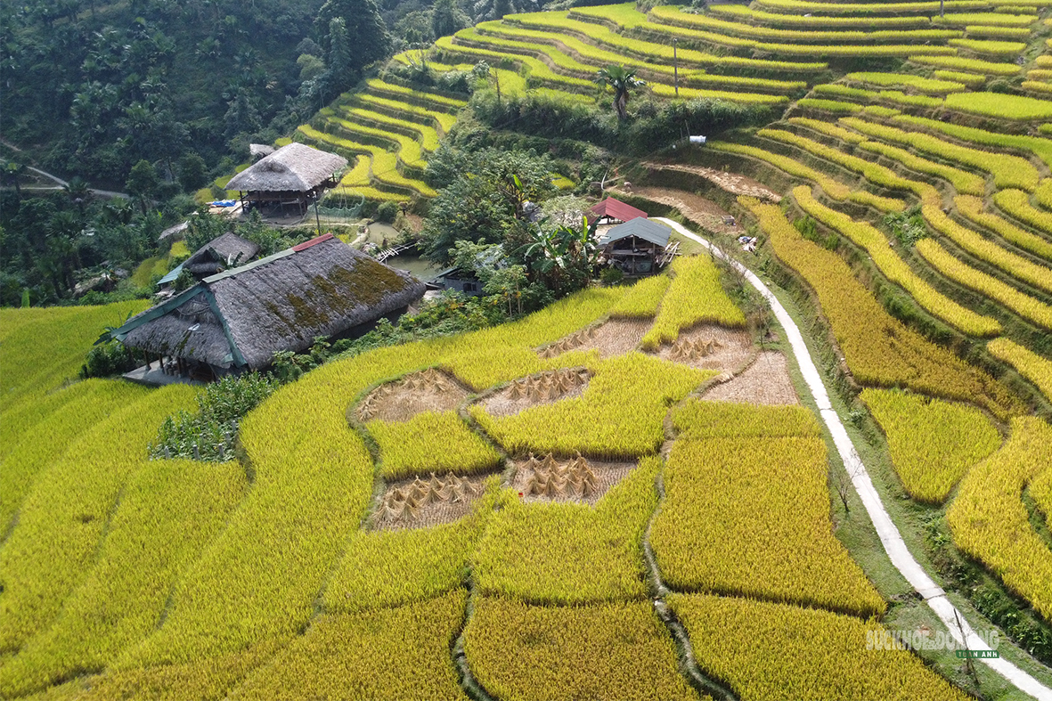 Mùa vàng Xà Phìn hút khách giữa núi rừng Tây Côn Lĩnh - Ảnh 11.