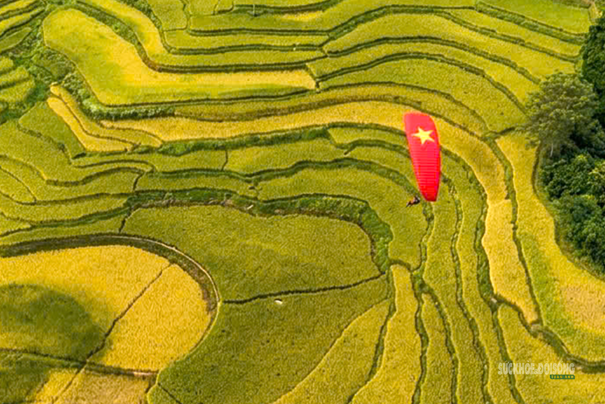 Hồng Thái mùa lúa chín, sắc vàng trải dài giữa biển mây- Ảnh 8.