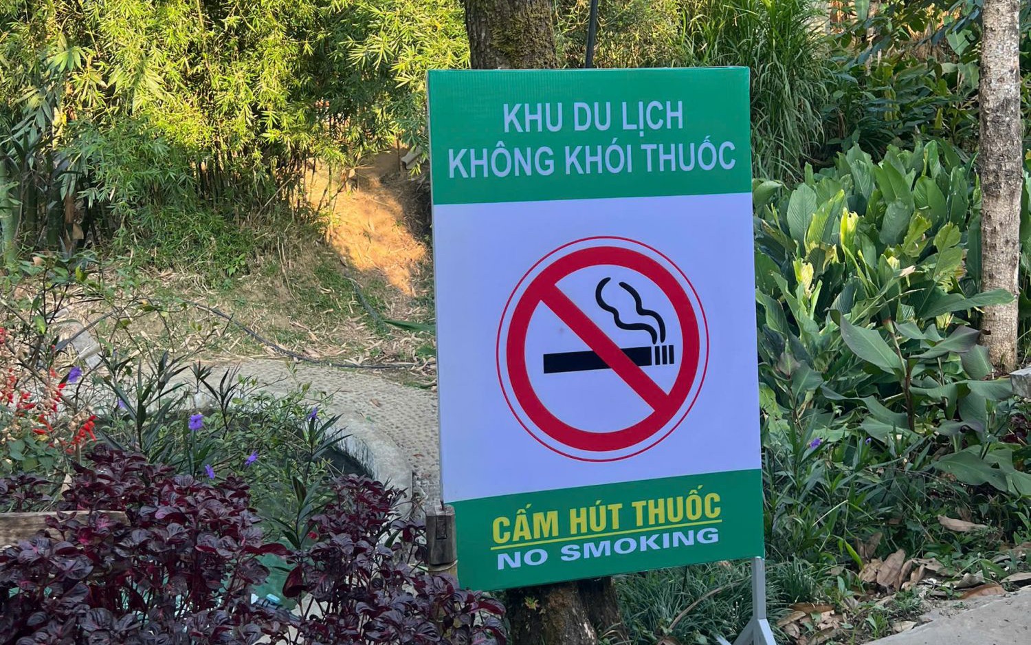 Tăng cường giám sát, xây dựng môi trường du lịch không khói thuốc- Ảnh 3.