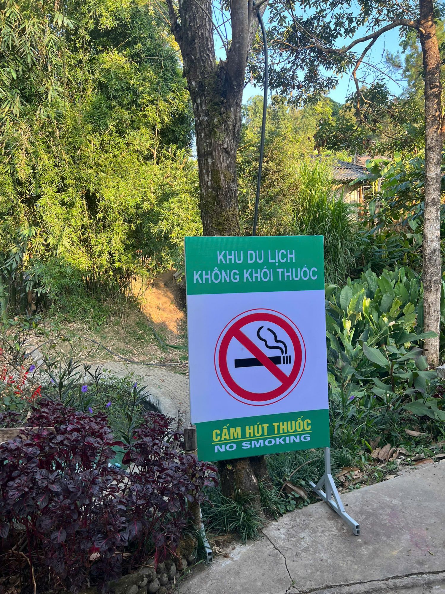 Mở rộng môi trường không khói thuốc: Cần thiết để bảo vệ sức khỏe cộng đồng - Ảnh 2.