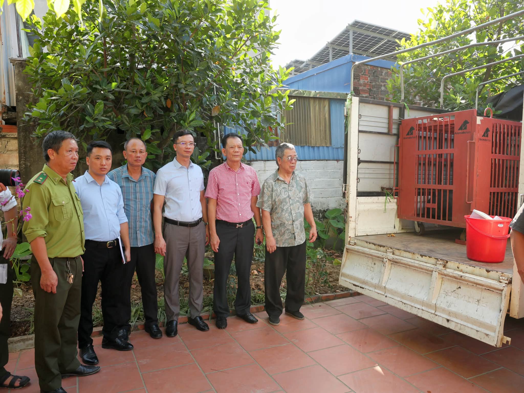 Người dân Hải Phòng tự nguyện bàn giao cá thể gấu ngựa tự nuôi- Ảnh 2.