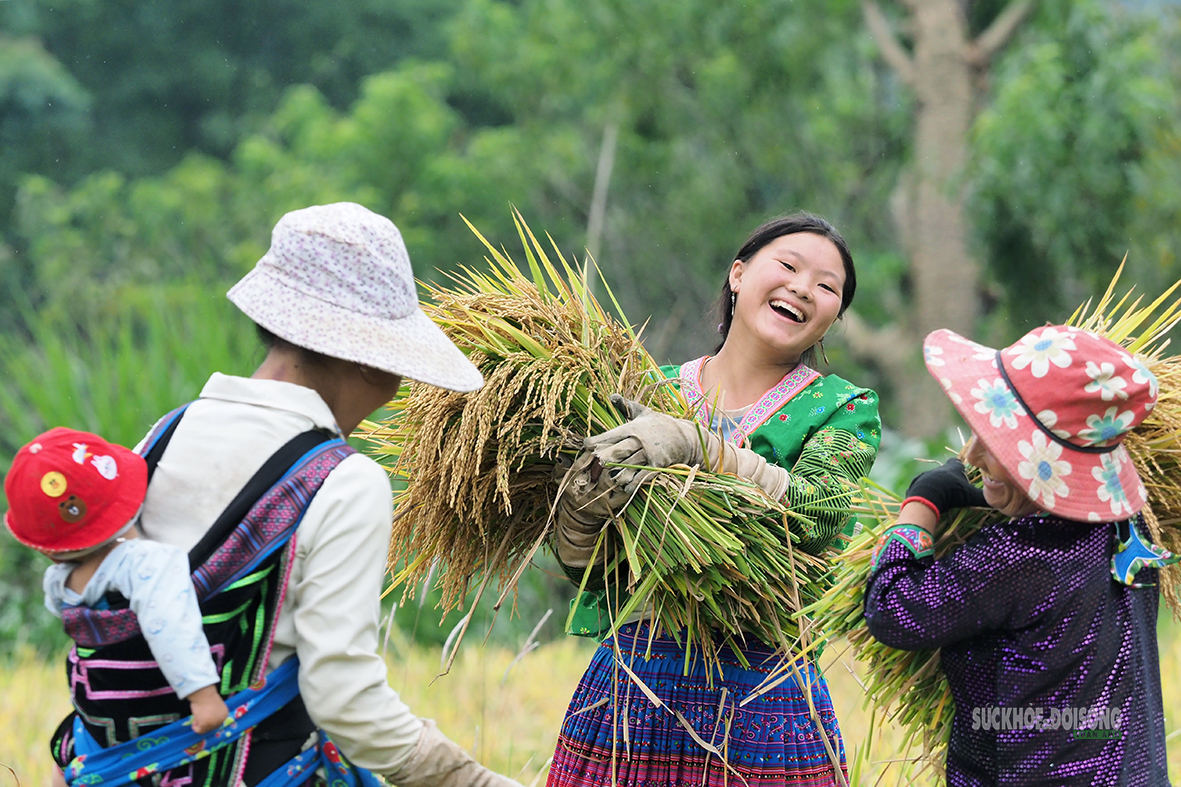 Vẻ đẹp bình dị của người phụ nữ Việt Nam: Từ phố thị đến vùng cao- Ảnh 5.