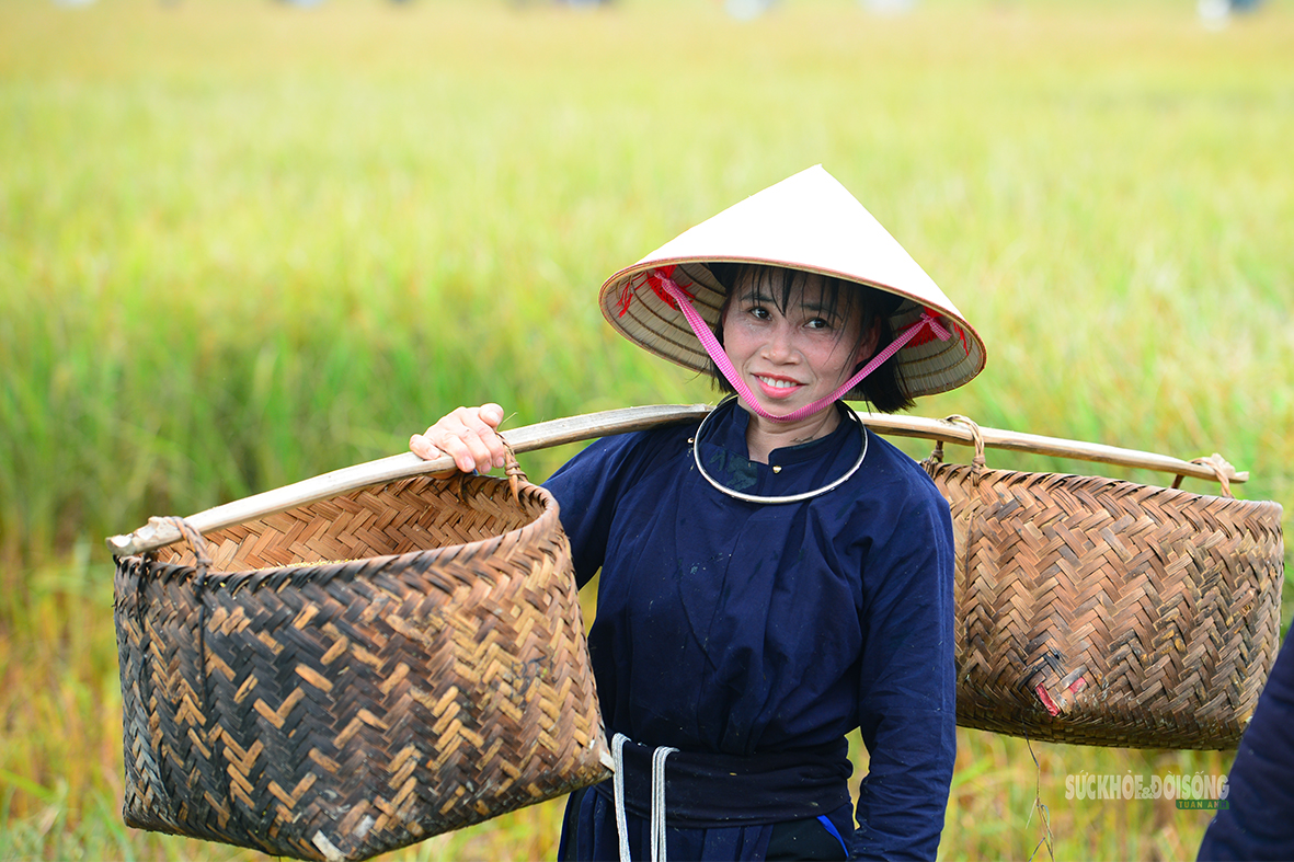 Vẻ đẹp bình dị của người phụ nữ Việt Nam: Từ phố thị đến vùng cao- Ảnh 6.