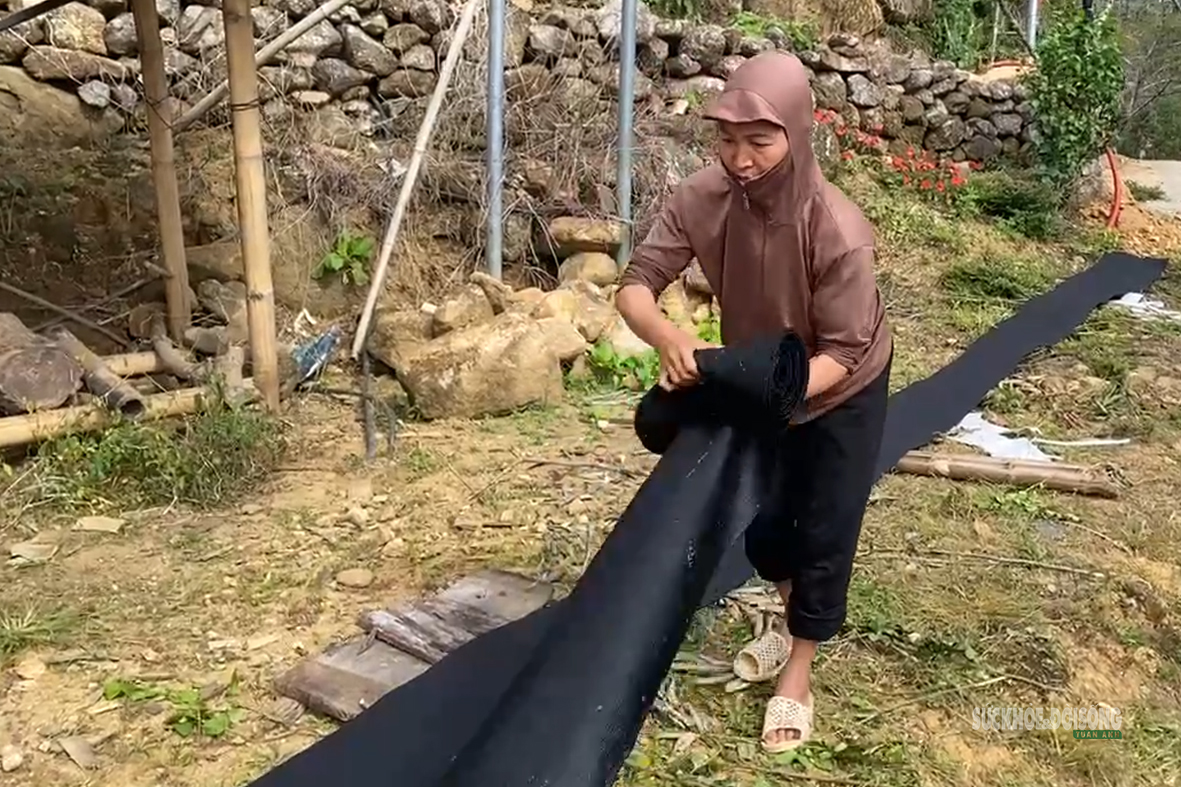 Giữ sắc chàm trên bản người Dao đầu bằng ở Sì Thâu Chải- Ảnh 5.